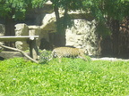 IMGP2456